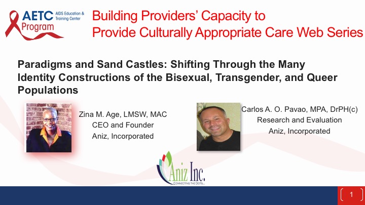 Webinar: Paradigms and Sand Castles: Shifting Through the Many Identity Constructions of the Bisexual, Transgender, and Queer Populations