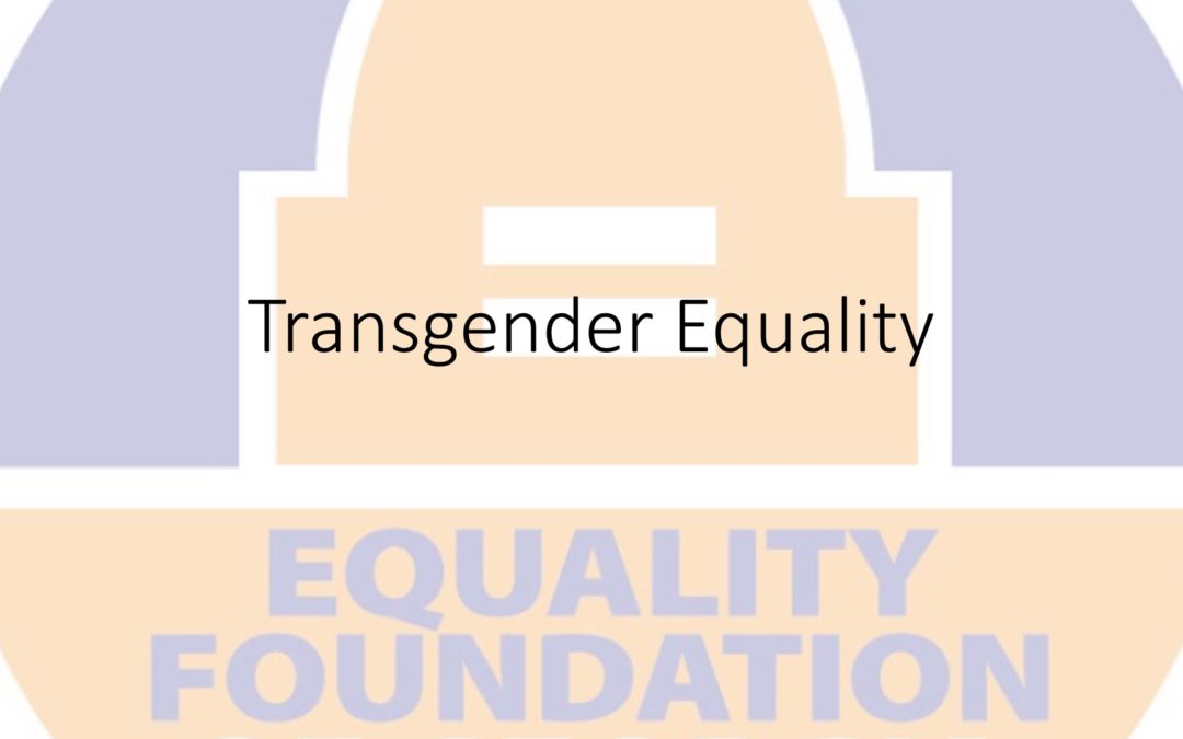 Webinar: Transgender Equality